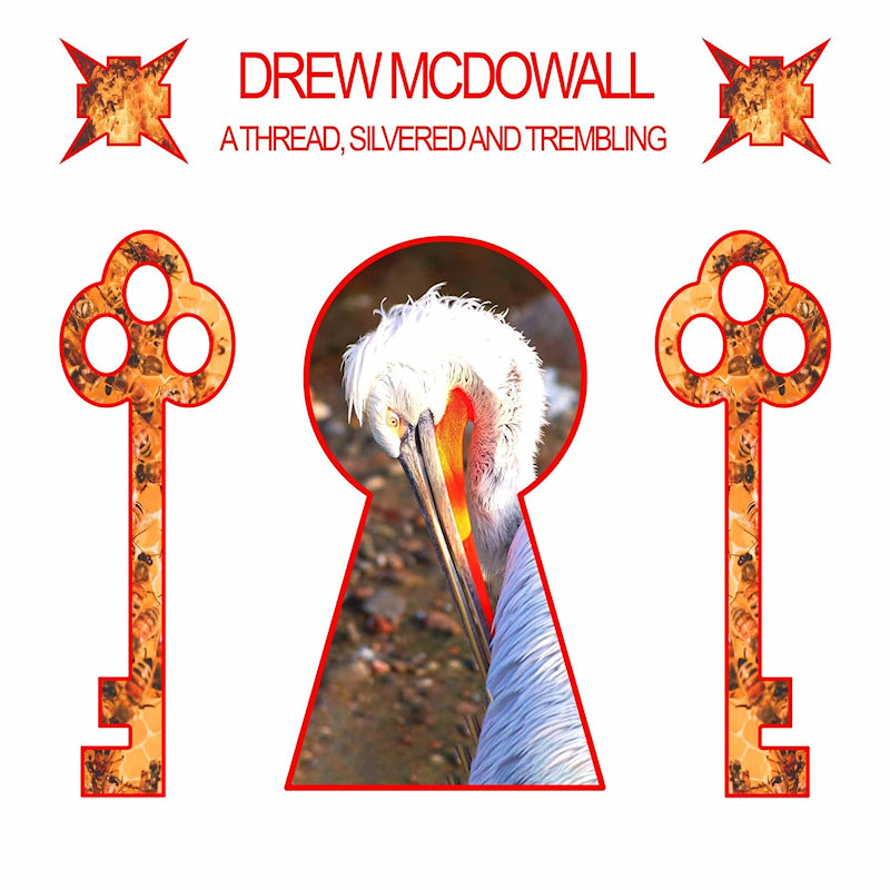 Drew Mcdowall - A thread, silvered and trembling (LP)