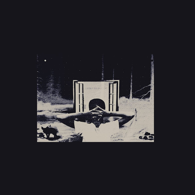 Earl Sweatshirt - I Don't Like Shit, I Don't Go Outside: An Album By Earl Sweatshirt (4552125 LP)