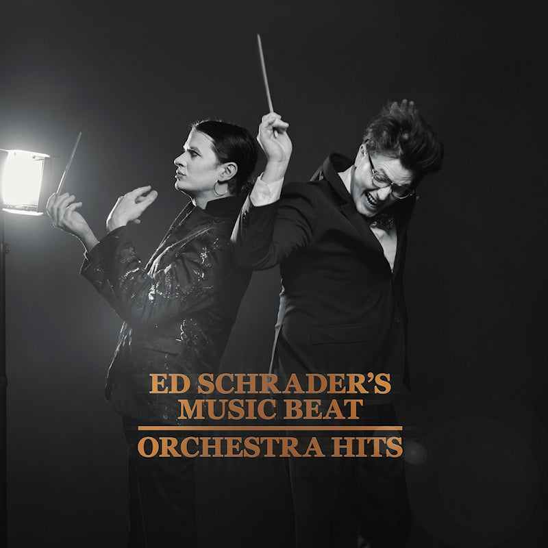 Ed Schrader's Music Beat - Orchestra hits (CD)