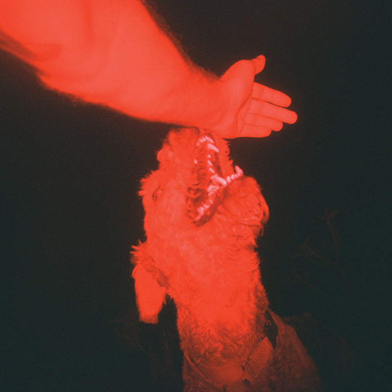 Eli Winter - A trick of the light (Red, Transparent, Coloured Vinyl LP)