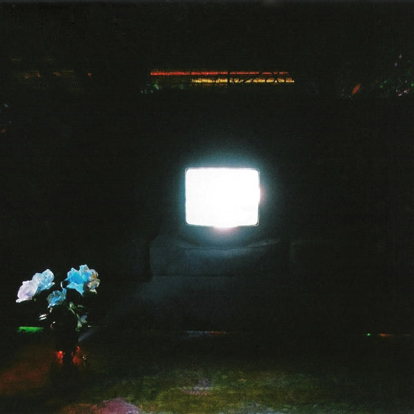 Emeralds - Does it look like i'm here? (.. Her? LP)