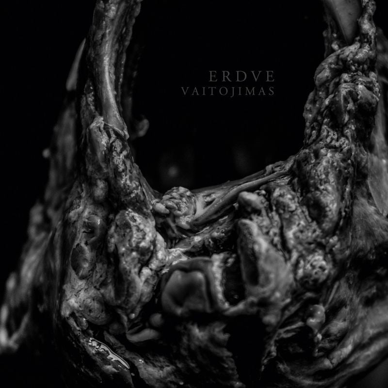 Erdve - Vaitojimas (LP)