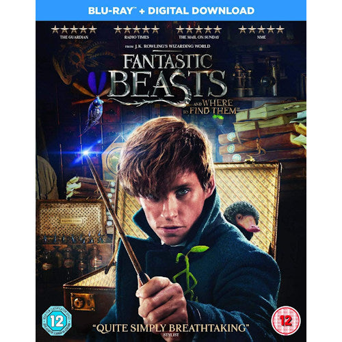 Movie - Fantastic beasts and where to find them (.. Where To Find Them / Uk Version /Cast: Eddie Redmayn blu ray movie)