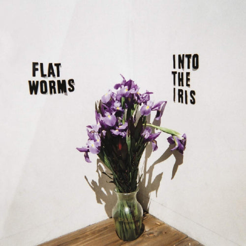 Flat Worms - Into the iris (12-inch maxi-single)