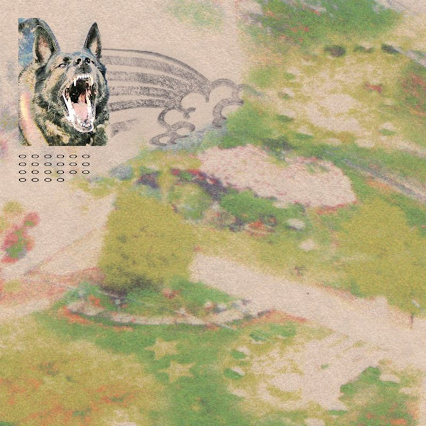 Feeble Little Horse - Girl with fish (LP)