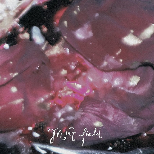 Mint Field - Aprender a ser (Fruit Punch, Coloured Vinyl LP)