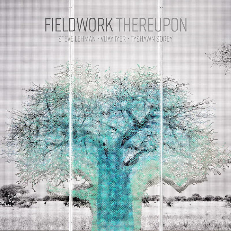 Fieldwork Feat. Vijay Iyer & Steve - Thereupon (LP)