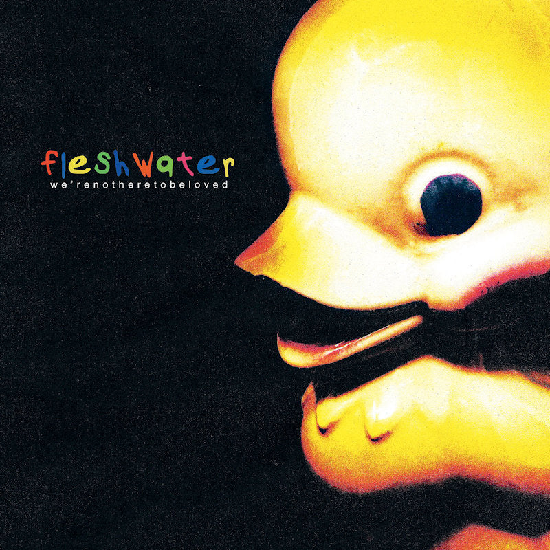 Fleshwater - We're not here to be loved (CD)