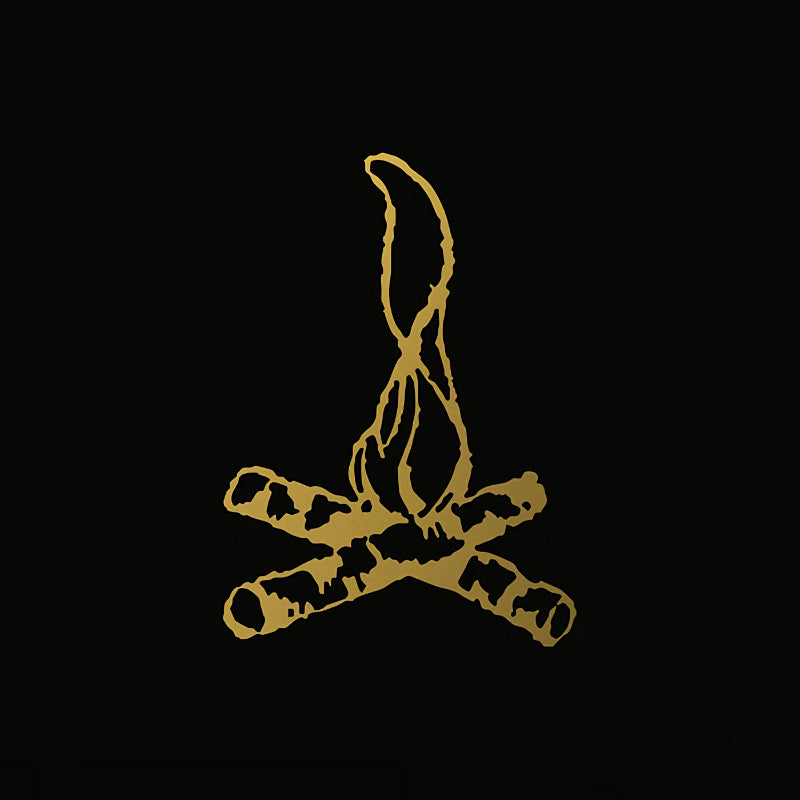 Frank Turner - Campfire punkrock 20 (Reissue, Anniversary Edition, Expanded Edition LP)