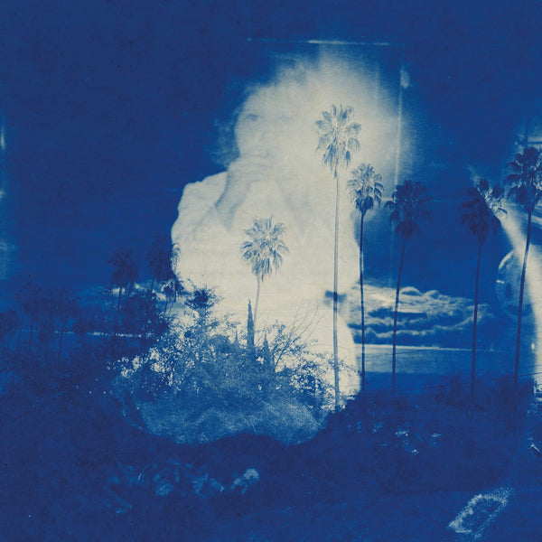 Fruit Bats - A river running to your heart (LP)