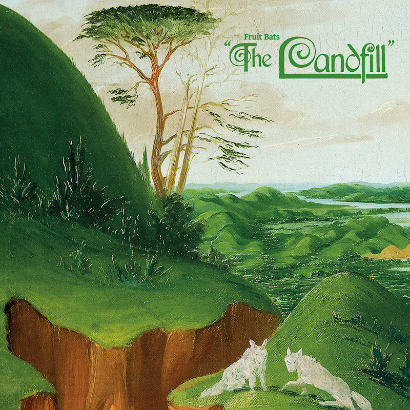 Fruit Bats - The landfill (CD)