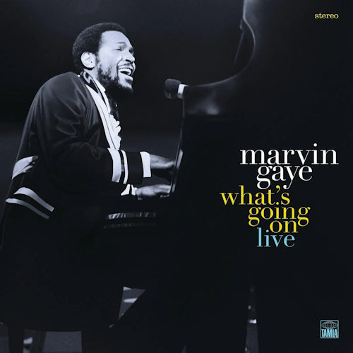 Marvin Gaye - What's going on (Live At the Kennedy Center LP)