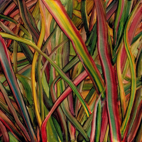 Gengahr - Where wildness grows (LP)