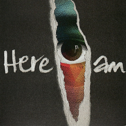 Groundation - Here i am (LP)