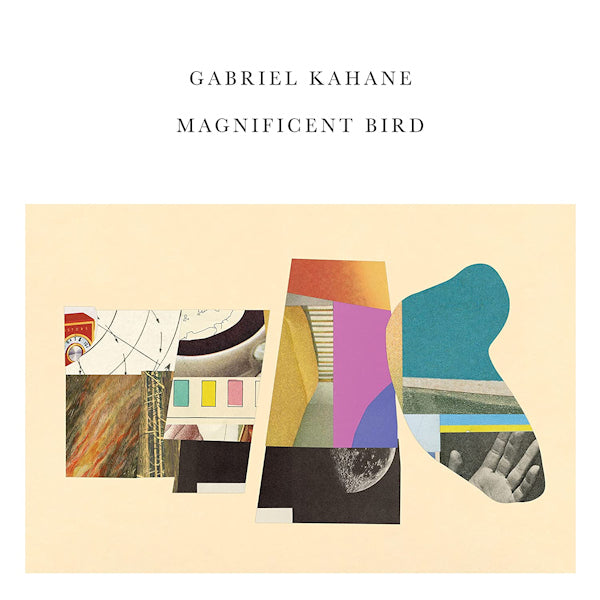 Gabriel Kahane - Magnificent bird (LP)