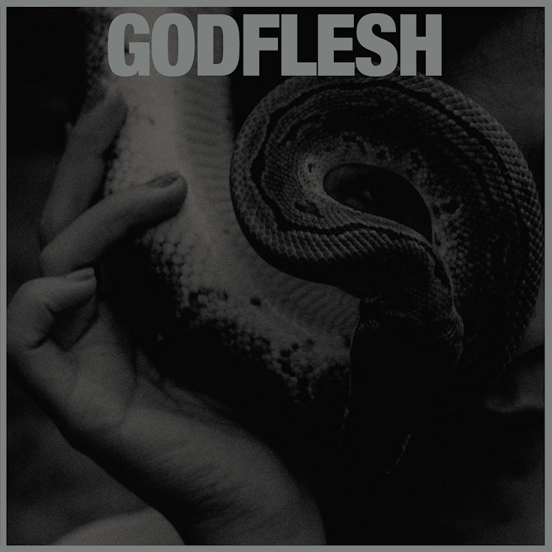 Godflesh - Purge (CD)