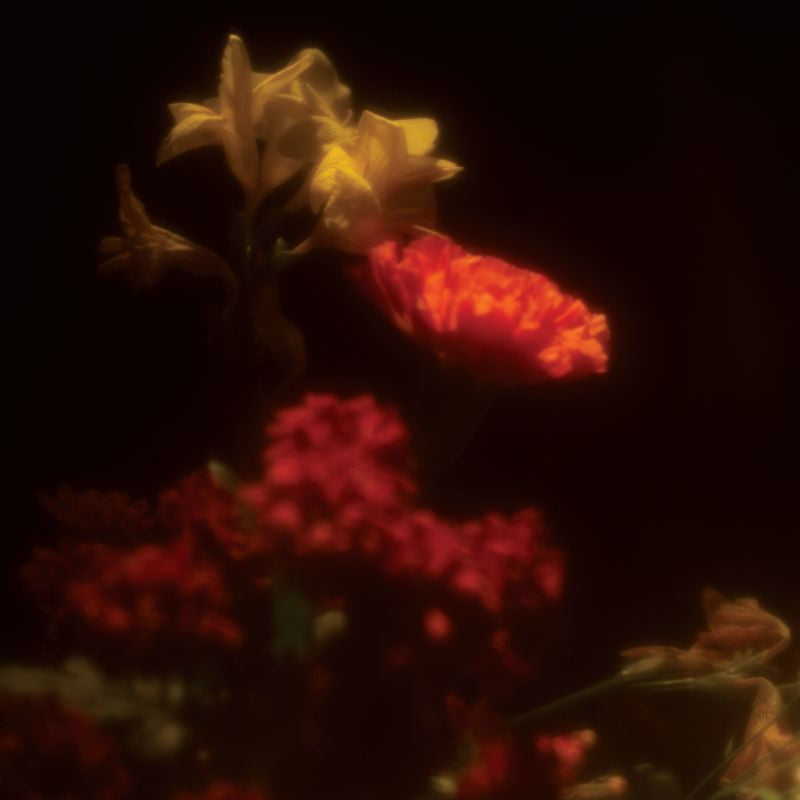 Gregoire Gerstmans - Hypnagogie (LP)