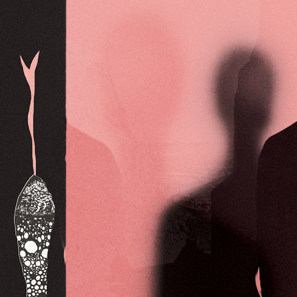 H. Hawkline - In the pink of condition (LP)