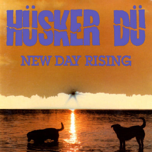 Husker Du - New day rising (CD)
