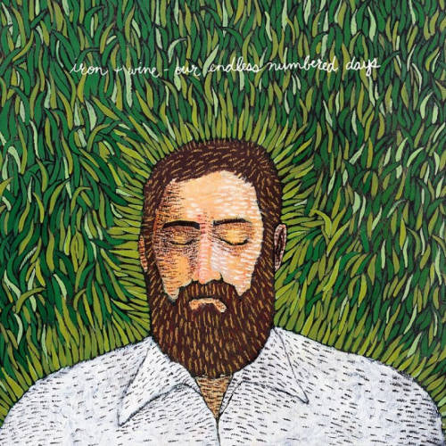 Iron & Wine - Our endless numbered days (LP)