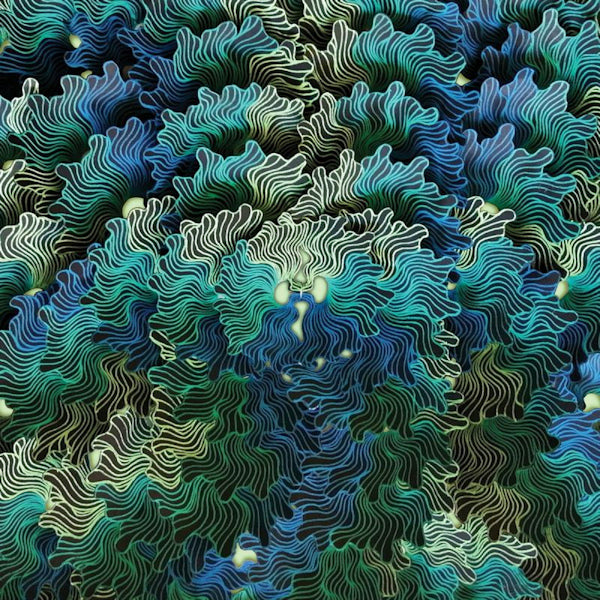 Izangoma - Ngo ma (LP)
