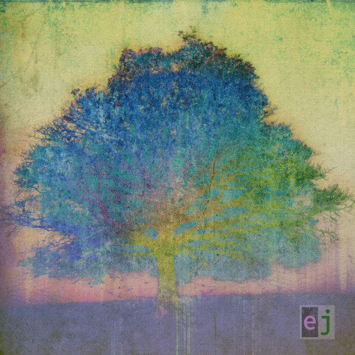 Eric Johnson - Ej (Digipak CD)