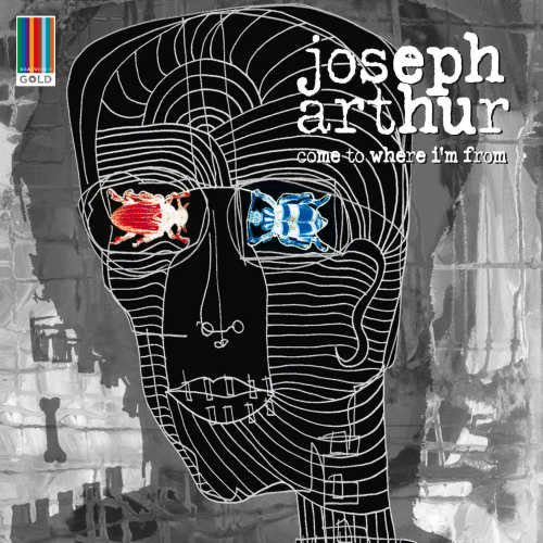 Joseph Arthur - Come to where i'm from (CD)