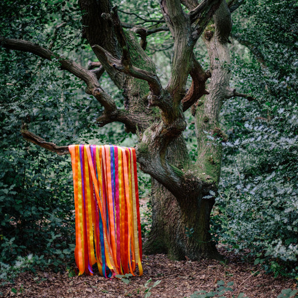 James Holden & The Animal Spirits - The animal spirits (LP)