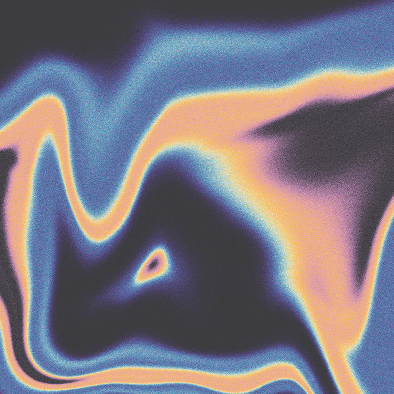 Jamie Lidell & Luke Schneider - A companion for the spaces between dreams (LP)