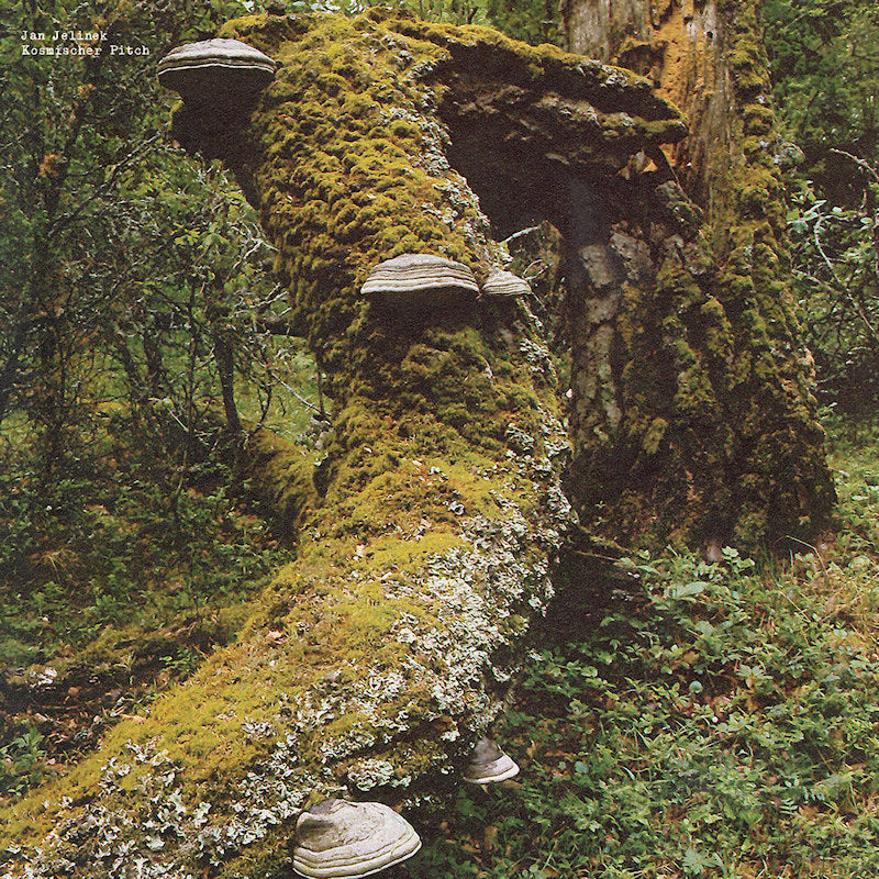 Jan Jelinek - Kosmischer pitch (LP)