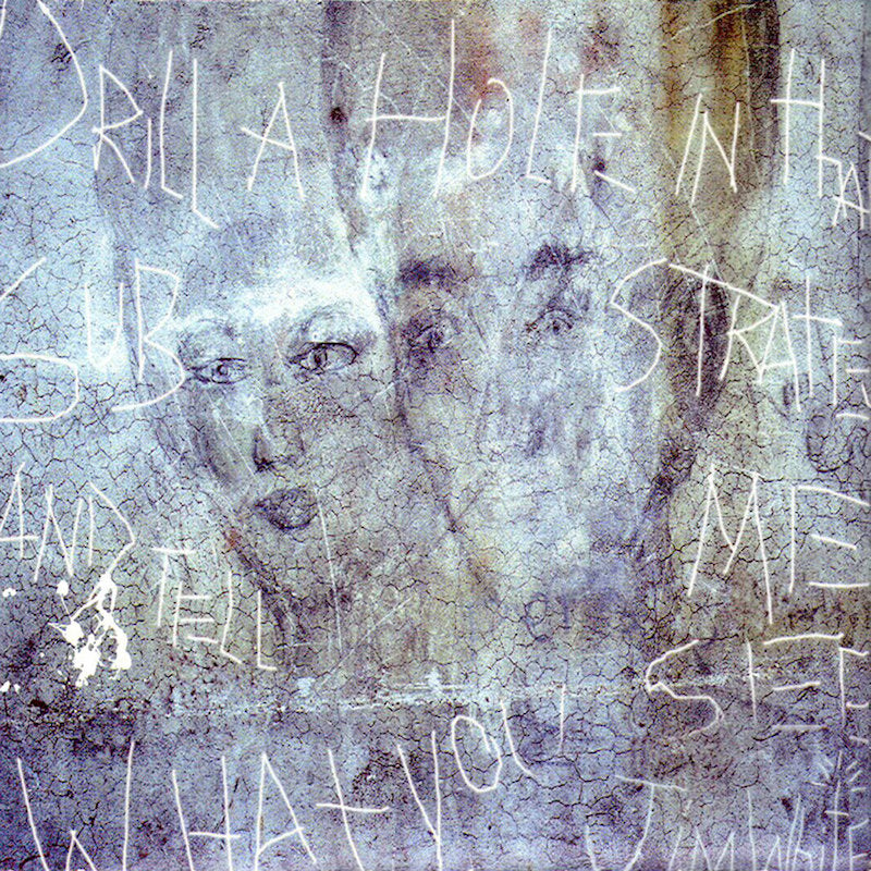 Jim White - Drill a hole in that substrate and tell me what you see (Gatefold Sleeve, Anniversary Edition LP)