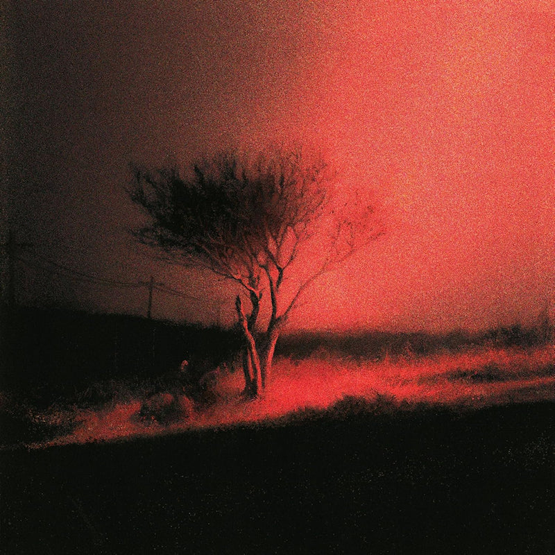 Joji - Piss in the wind (CD)