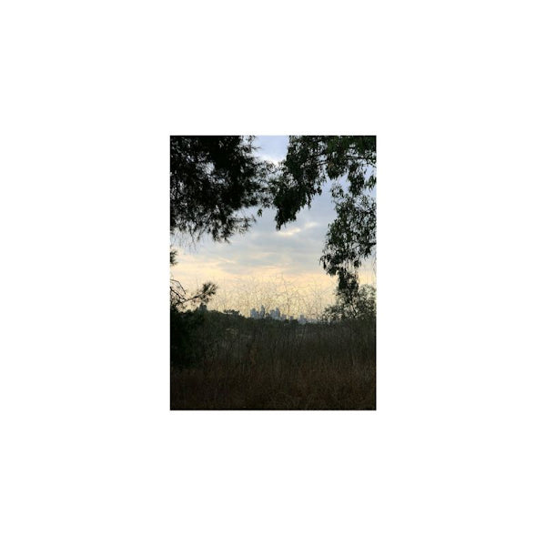 Jon Porras - Arroyo (Transparent LP)