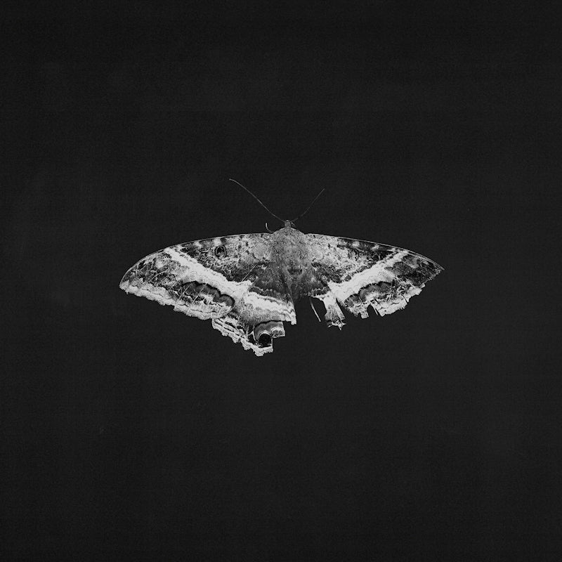 Kendrick Lamar - To pimp a butterfly (Coloured Vinyl, Anniversary Edition LP)