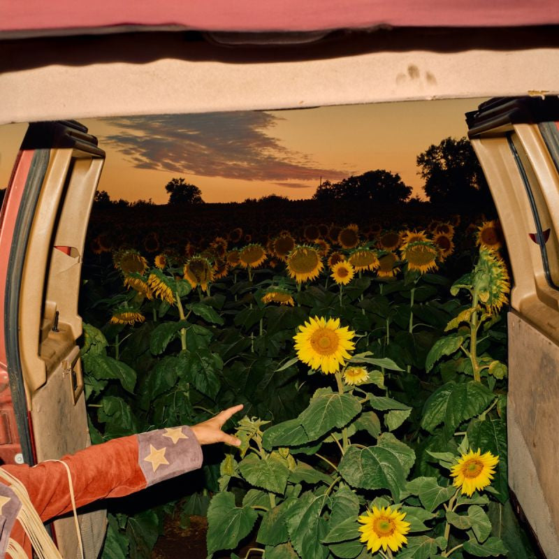 Kevin Morby - Little wide open (CD)