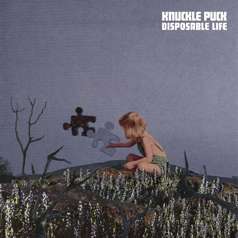 Knuckle Puck - Disposable life (Red Apple Vinyl, Coloured Vinyl 12-inch maxi-single)