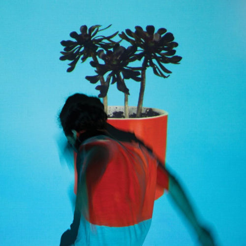 Local Natives - Sunlit youth (LP)
