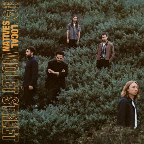 Local Natives - Violet street (LP)
