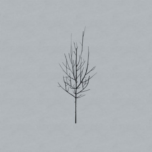 Low - Ones and sixes (LP)