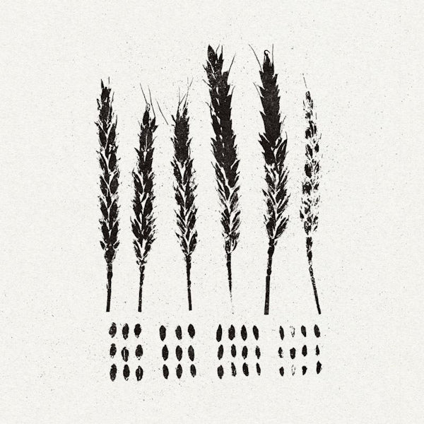 Lo! - The gleaners (LP)