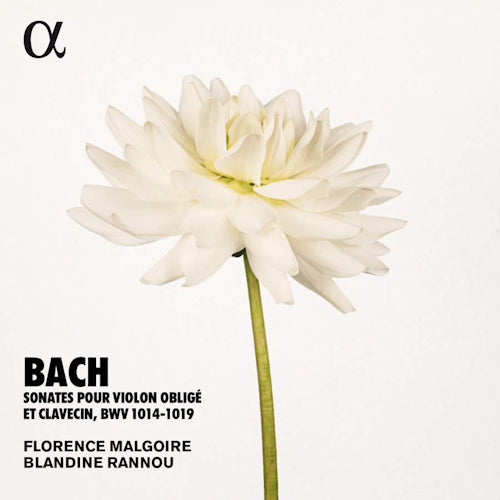 Johann Sebastian Bach - Sonates pour violon oblige et clavecin bwv1014-1019 (Blandine Rannou/Florence Malgoire CD)