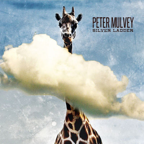 Peter Mulvey - Silver ladder (CD)