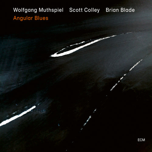 Wolfgang Muthspiel - Angular blues (Works By Muthspiel/Cole Porter CD)