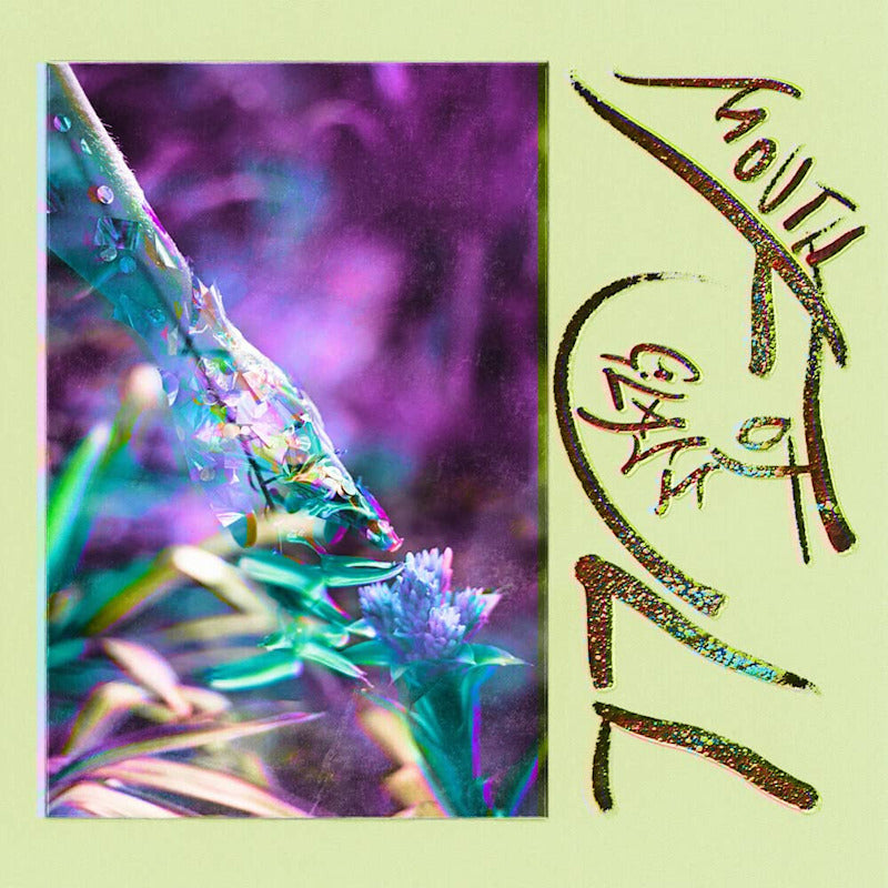 Macie Stewart - Mouth full of glass (.. of Glass, Transparent LP)