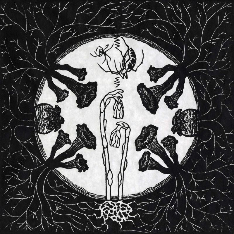 Magic Tuber Stringband - Tarantism (LP)