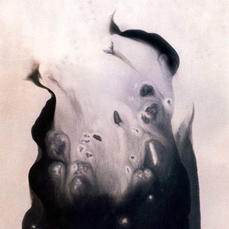 Marla Hansen - Salt (LP)