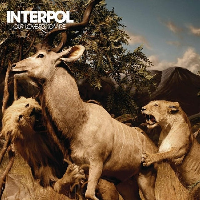 Interpol - Our love to admire (4595843 LP)