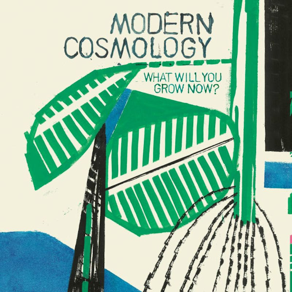 Modern Cosmology - What will you grow now? (LP)