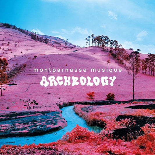 Montparnasse Musique - Archeology (LP)