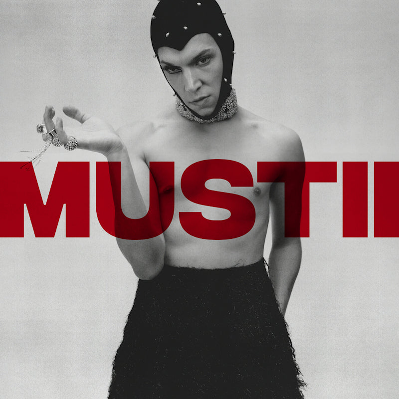 Mustii - The maze (CD)